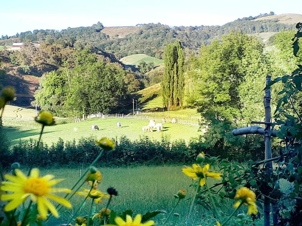 "Chez Naty" Chambres D'Hotes Au Pays-Basque Cheraute 외부 사진